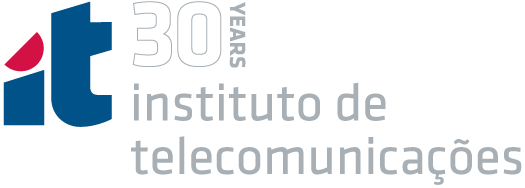 IT-30years logo