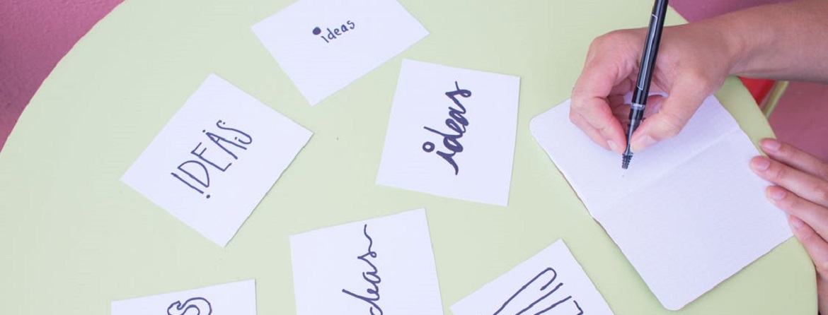 1st cycle students start their research projects at ISCTE-IUL