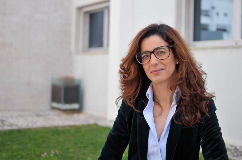 Researcher at Iscte develops a landmark study in the area of ​​Science Communication