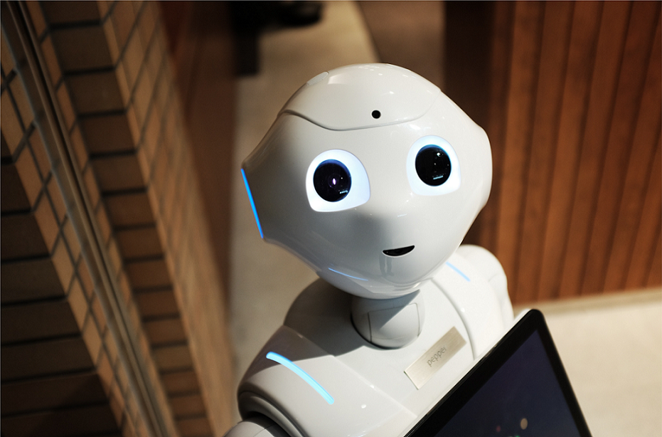 Robotization  and welfare scenarios
