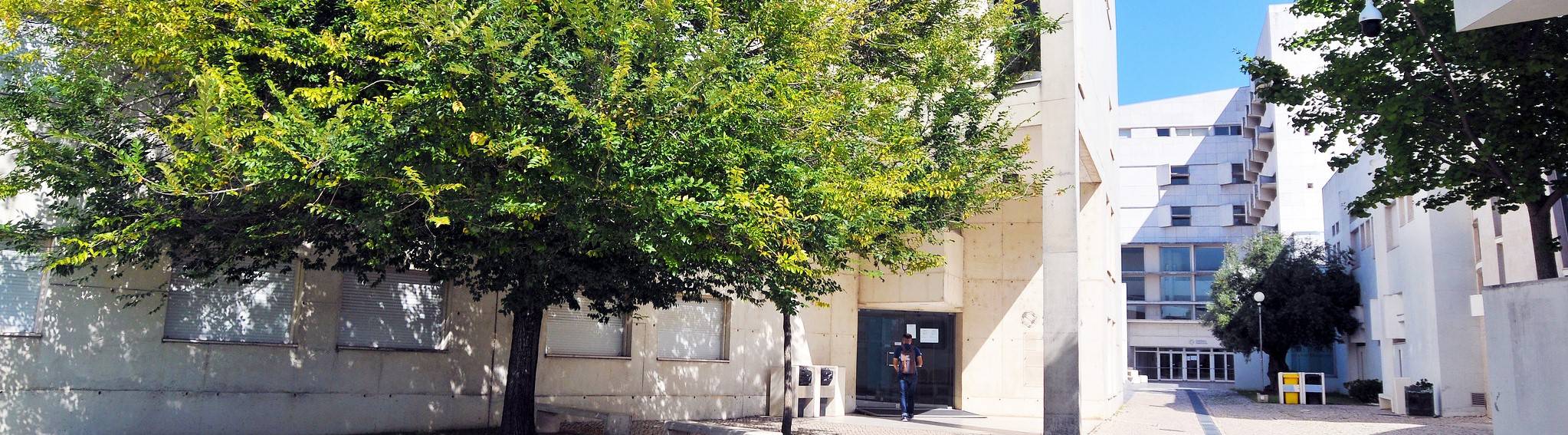 Entrei no Iscte, e agora?