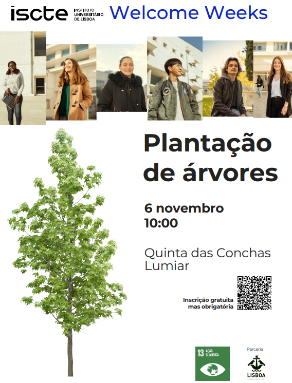 plantacao de arvores