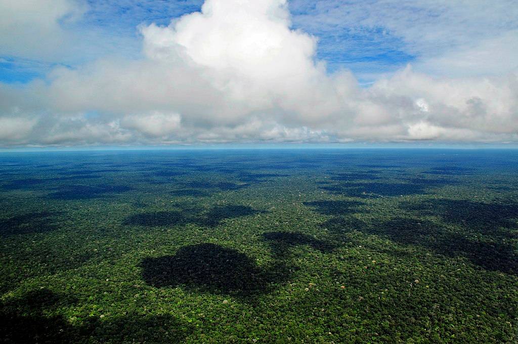 A luta indígena contra a destruição da floresta amazónica". Encontro com Adriano Karipuna