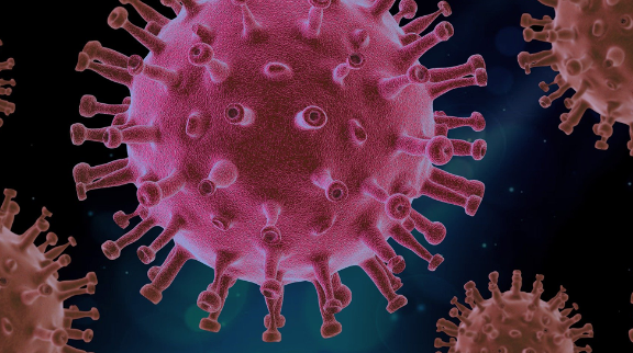Espaço Euroasiático em tempos de COVID-19