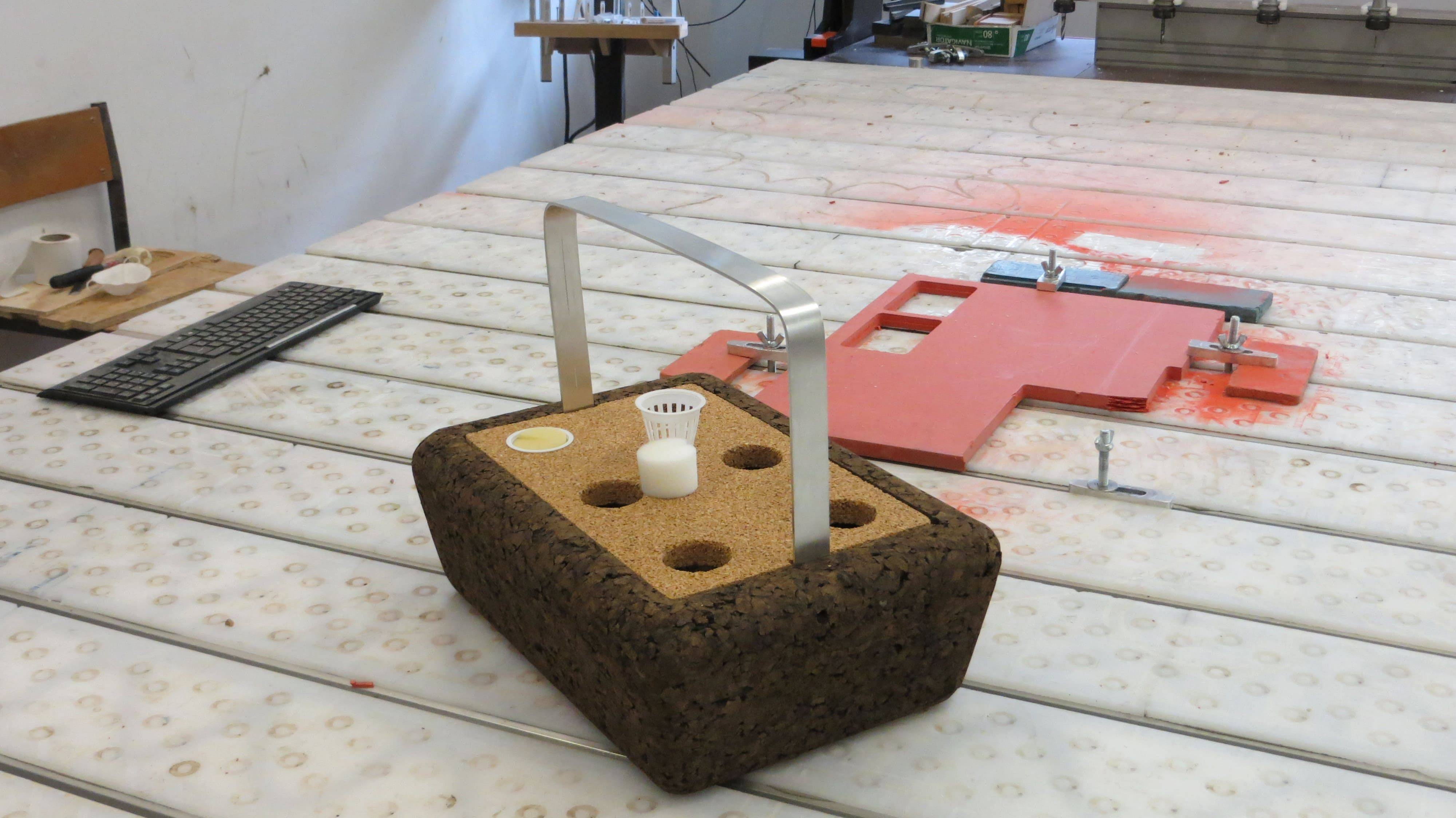 Audax descodifica ADN