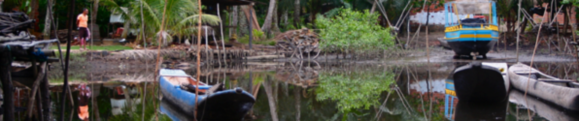 Traços e Rabiscos   Ambiente, Educação e Desporto em África