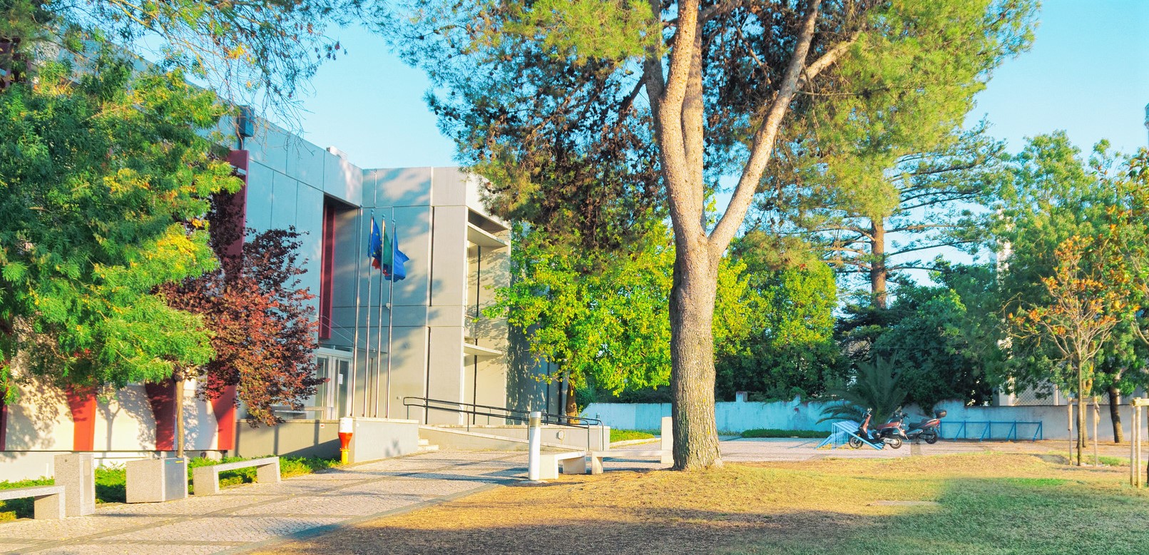 Abertas candidaturas de estudantes internacionais