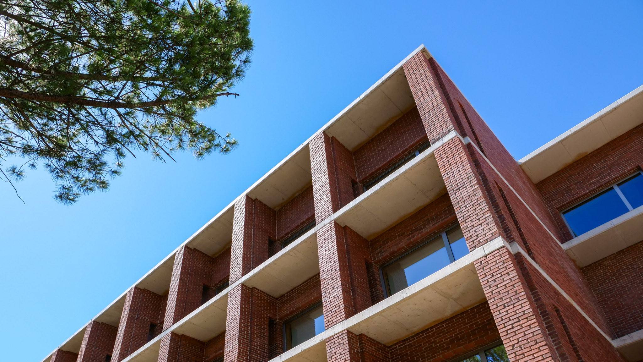 Prémio CIES e-Working Papers 2025