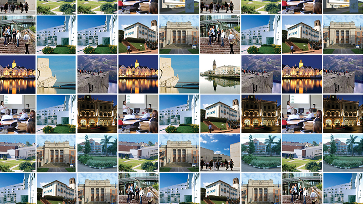 Biographical interviews in mixed methods research designs