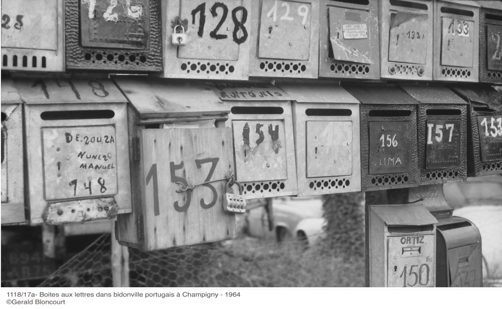 Ethnic and racial categories