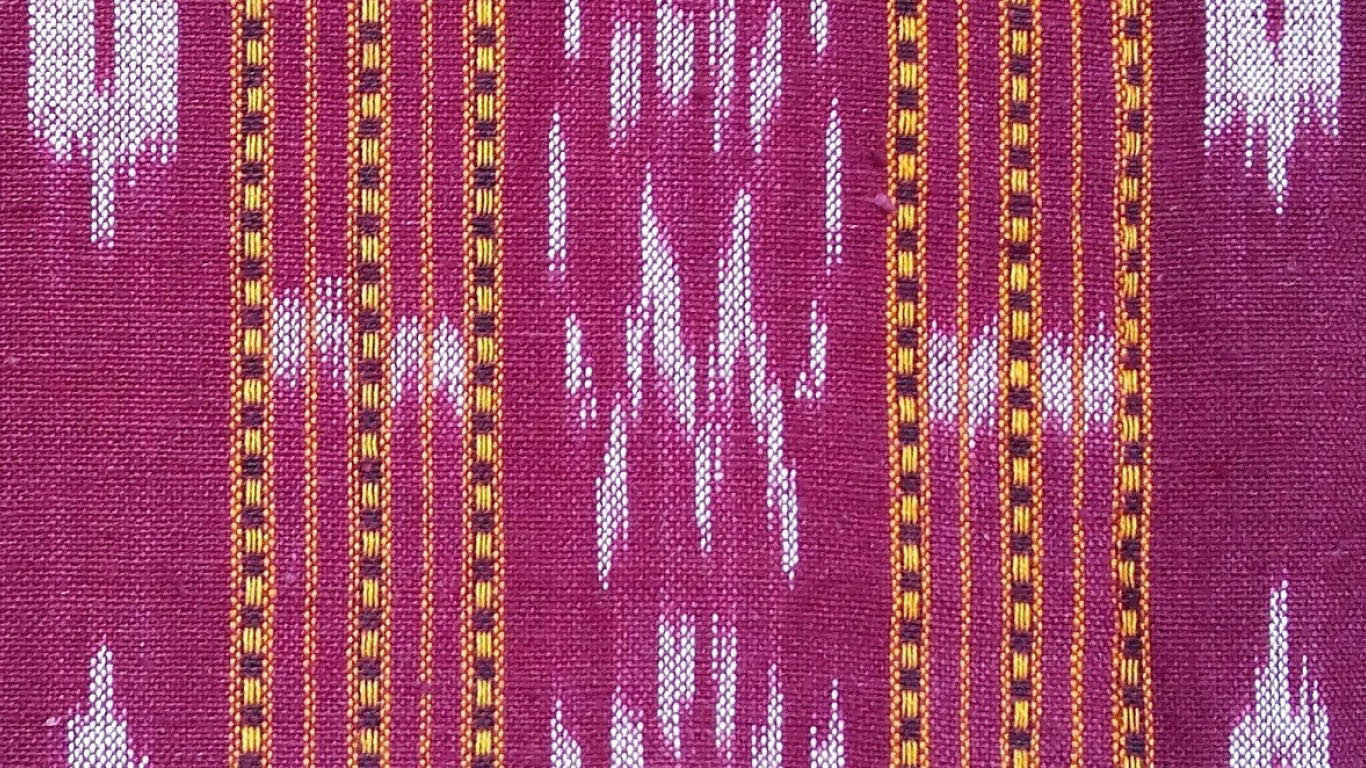 Populações sul-asiáticas em Portugal: Instituições e Integração