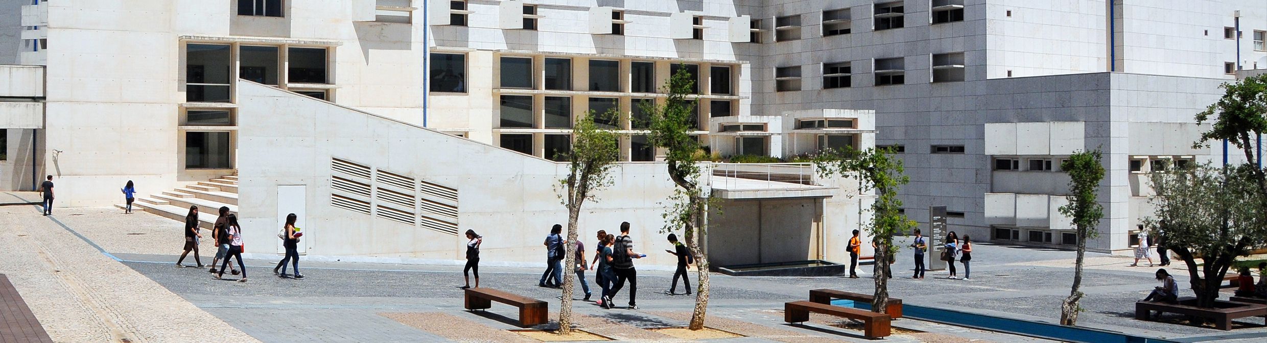 Global Dwelling: Intertwining Community, Sustainability and Technology