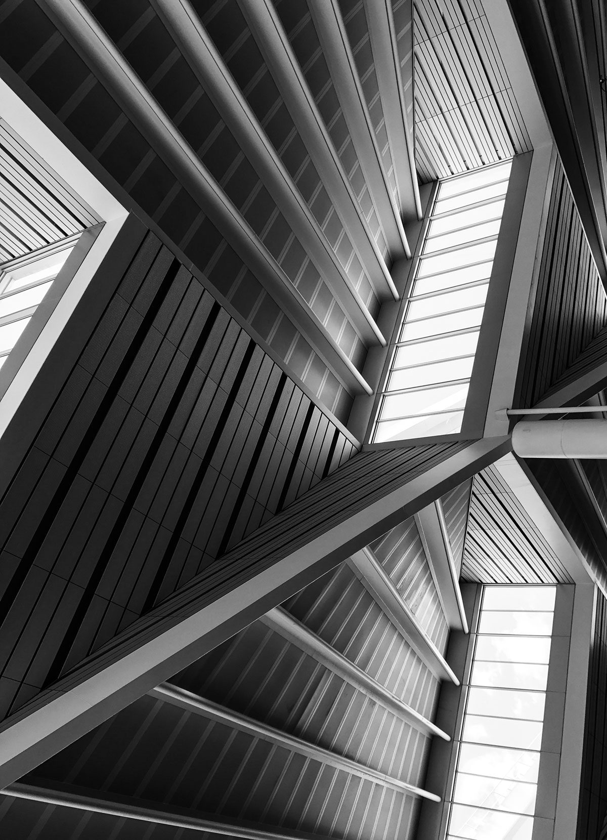 Desafios colocados ao Serviço Social: Presente e futuro