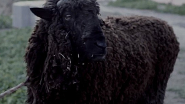 Dia N. Mostra e discussão de filmes sobre a Cidade