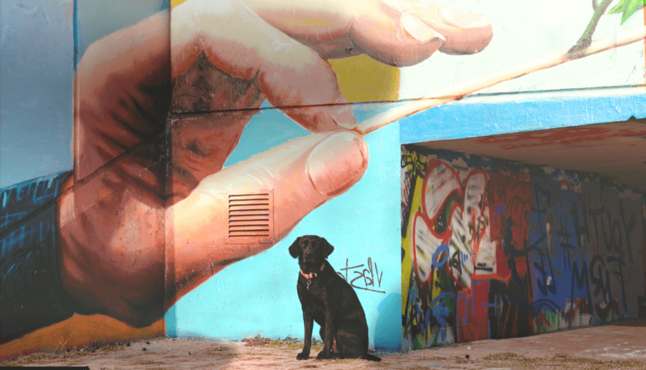 Criatividade, Cultura e Território