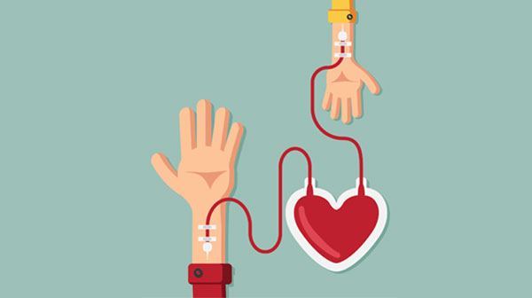 Sessão de Colheita de Sangue