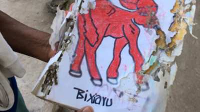 Documenting an Endangered Language: A case study of the Cora language community in Western Mexico