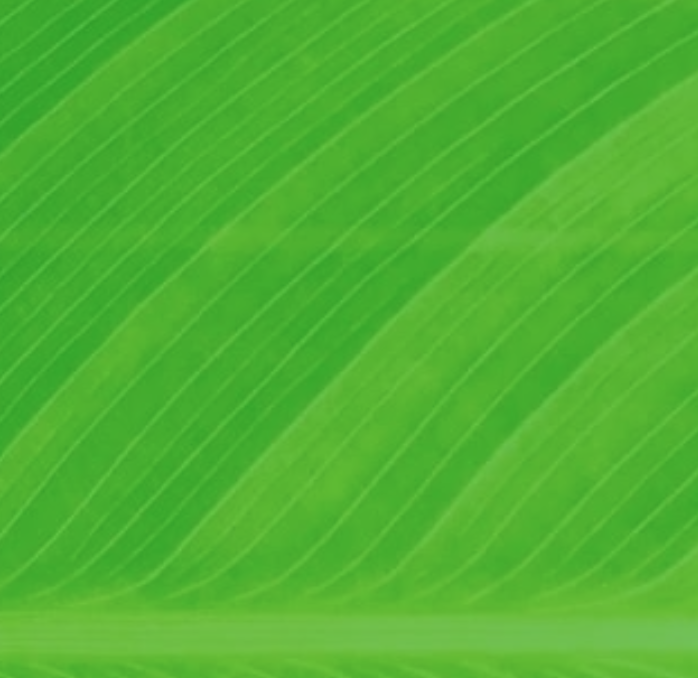 5th Symposium on Ethics and Social Responsibility Research