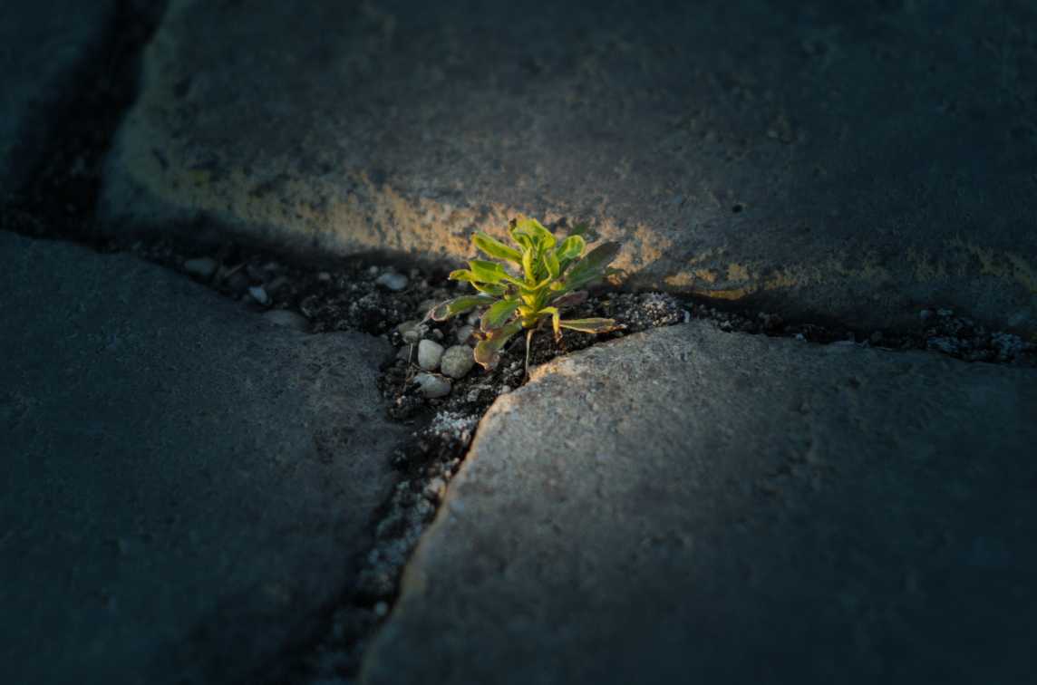 GFIC2019 - Global Forum of Intellectual Capital