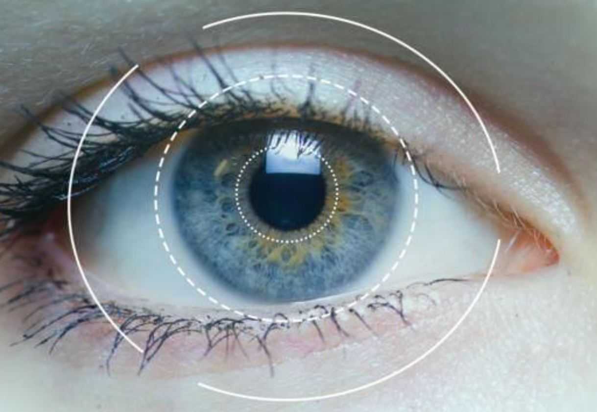 Introduction to Eye-Tracking