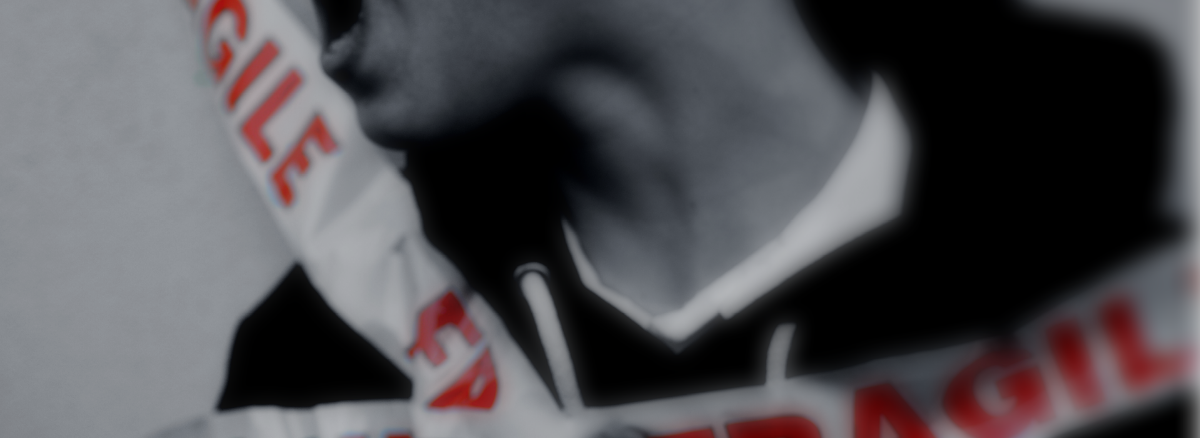 Experiences of Victimization by Peers and Staff in Residential Care from an Ecological Perspective