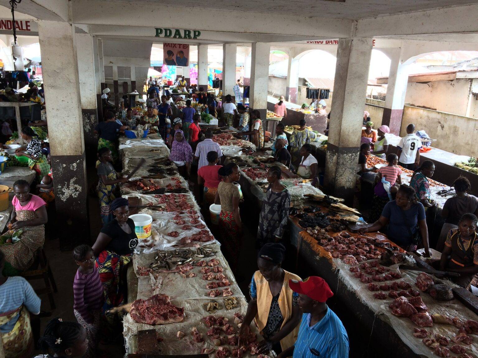 Bushmeat: the culture and Economy of eating wild animals in Central Africa