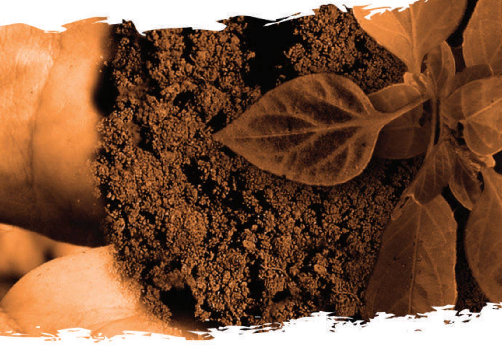 A Sustentabilidade e o Planeta