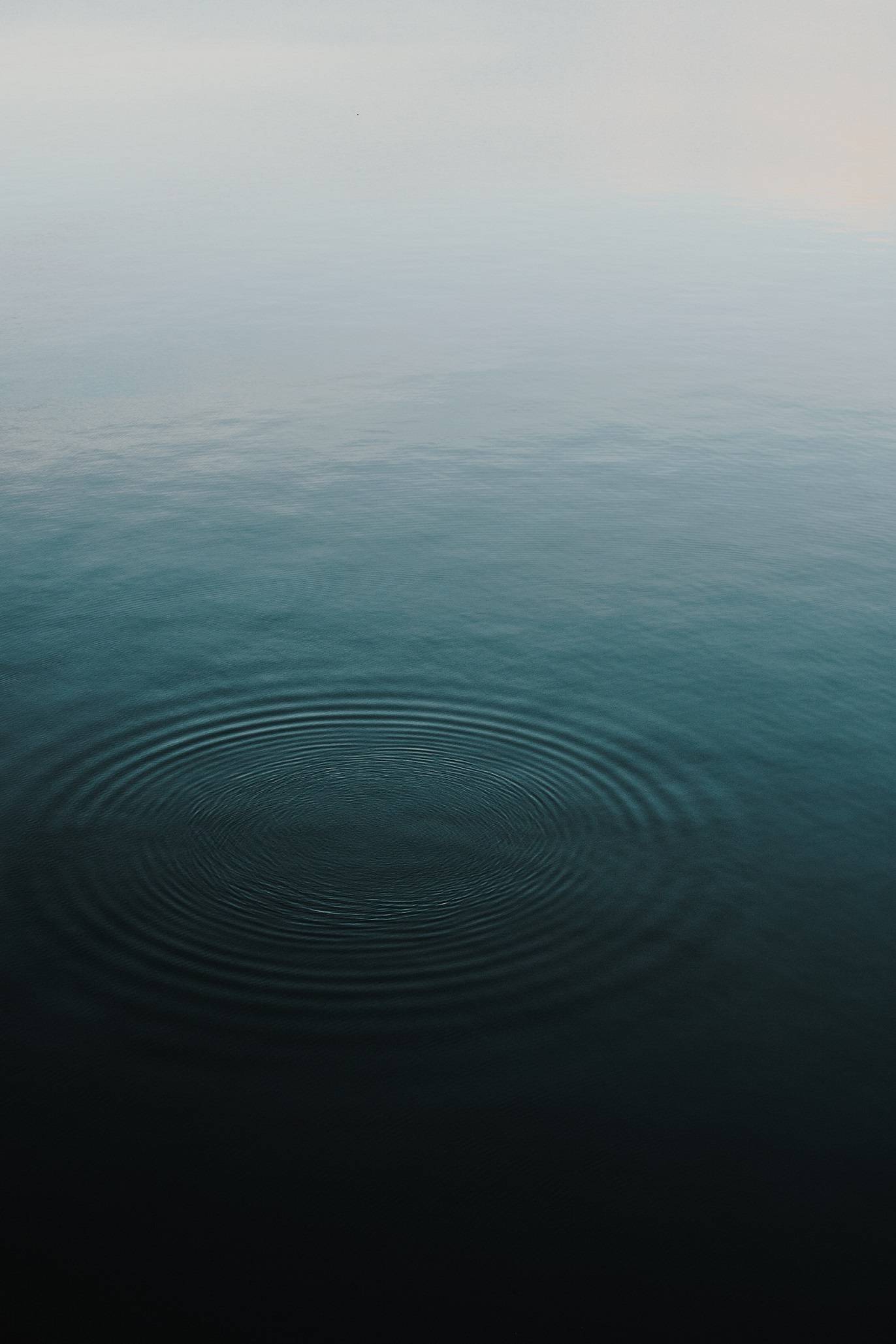 Nothingness, Regrets and Omissions in Biographies