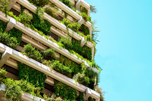 MBA in Sustainable Management