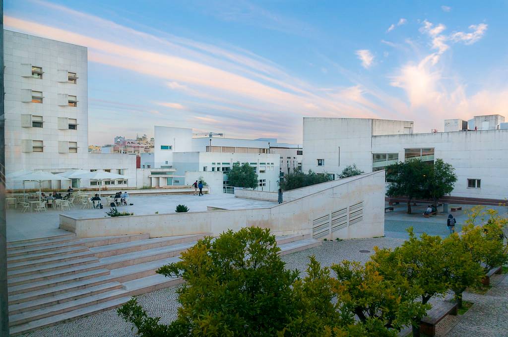 Brown Bag Seminars on Social Data