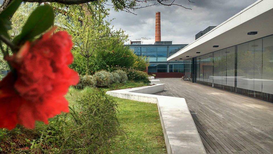 Ciclo de Conversas "Género e Sociedade"