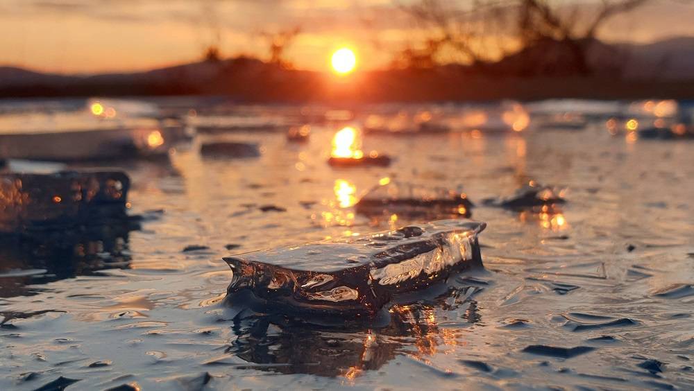 Mobilização do Conhecimento para Enfrentar a Urgência Climática