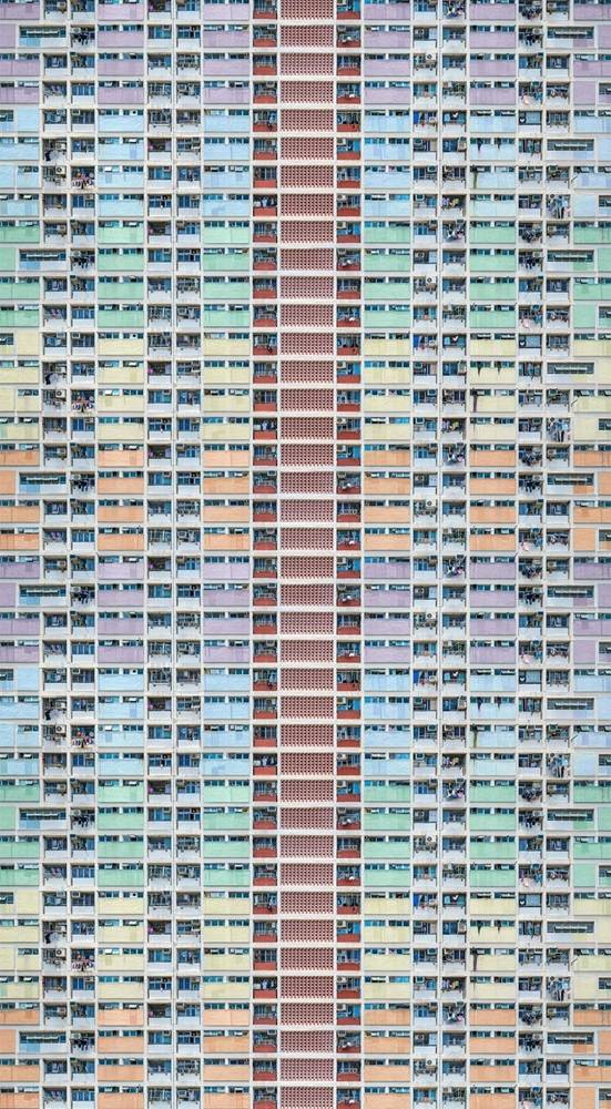 Formas de Exercício da Cidadania: Sociedade, Economia e Sustentabilidade