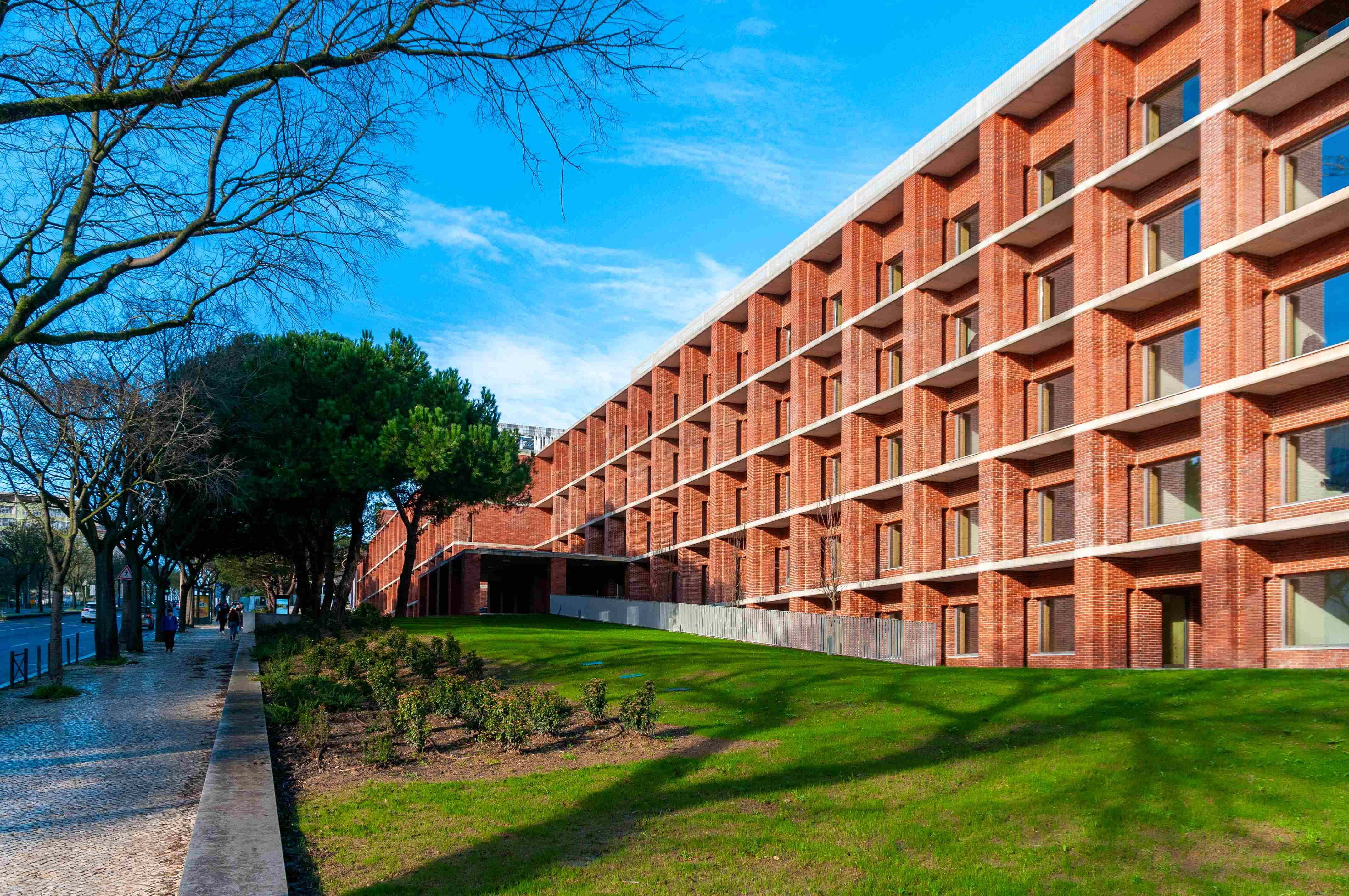 The Migration Obsession