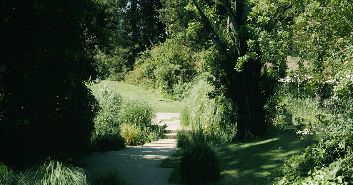 A Beleza que o Homem tem o dever de Criar