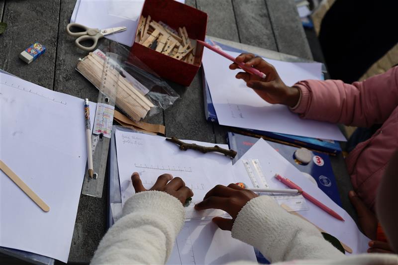 Programa Escolas2030: Agência e Inovação para uma escola com futuro