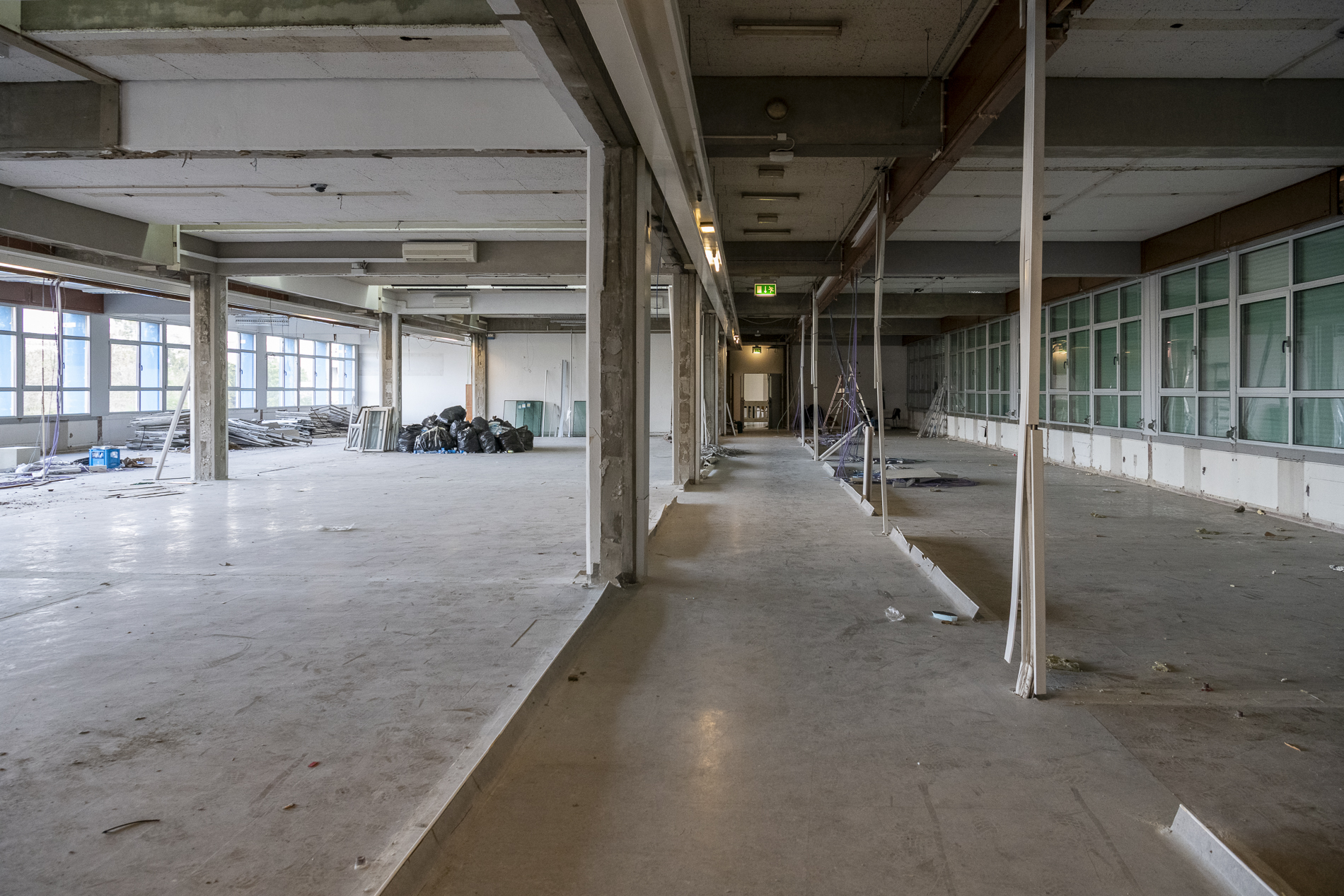 Eficiência energética no Iscte aumentou cerca de 30% devido à renovação nos edifícios