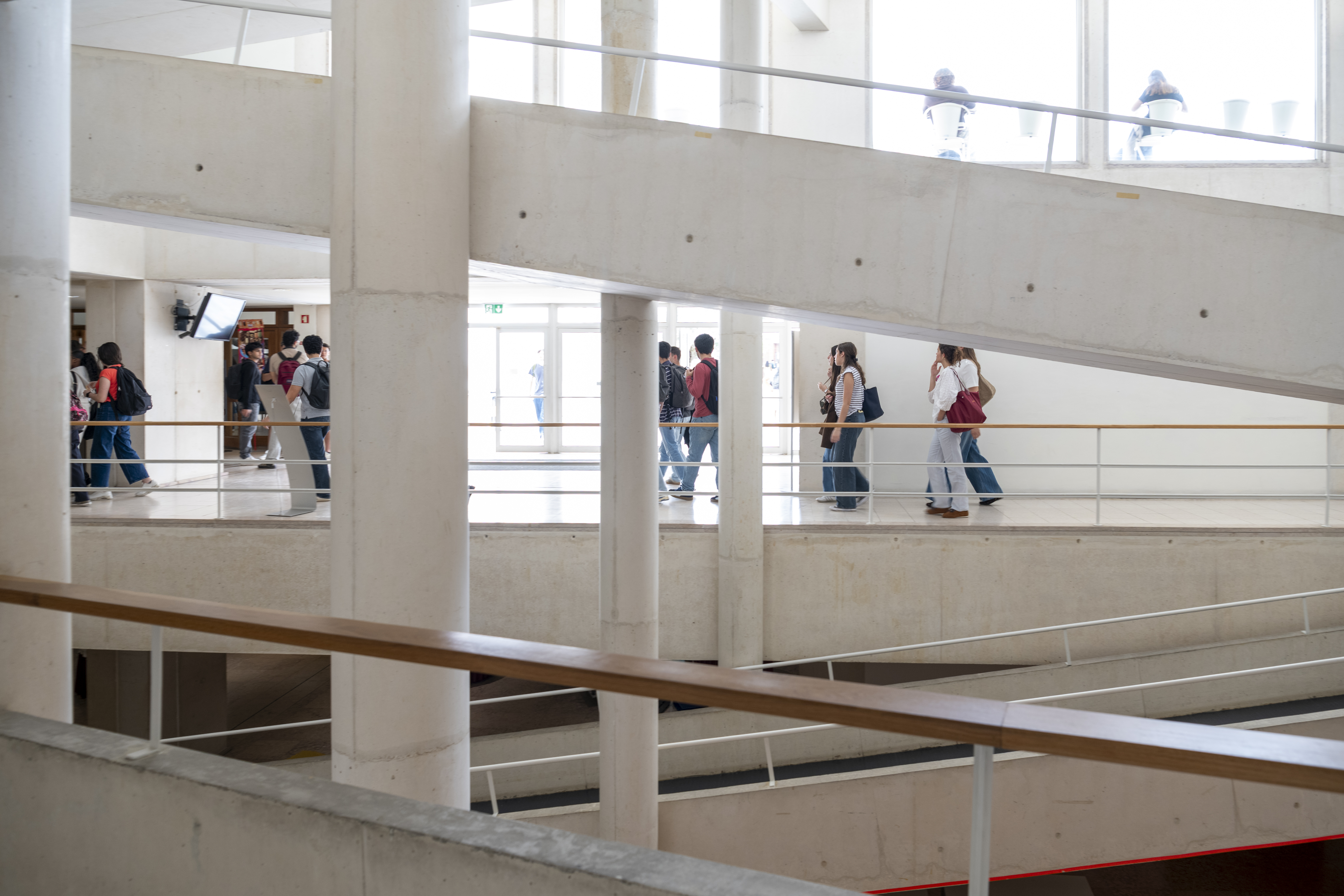 Apoio a estudantes com Necessidades Educativas Específicas (NEE)