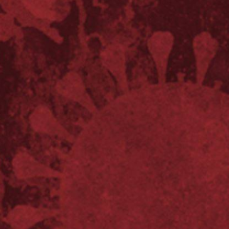 Confinaria: A pandemia e os seus impactos