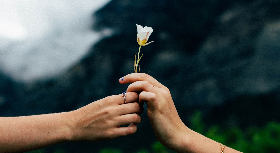 When love ignites: The warm heart, goosebumps, and joyful tears of Kama Muta