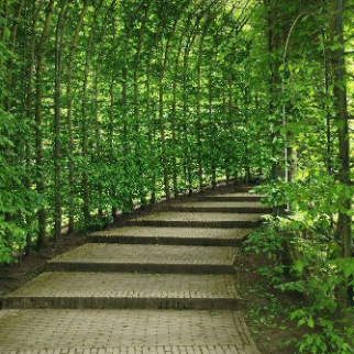 Estudos da Deficiência e Direitos Humanos