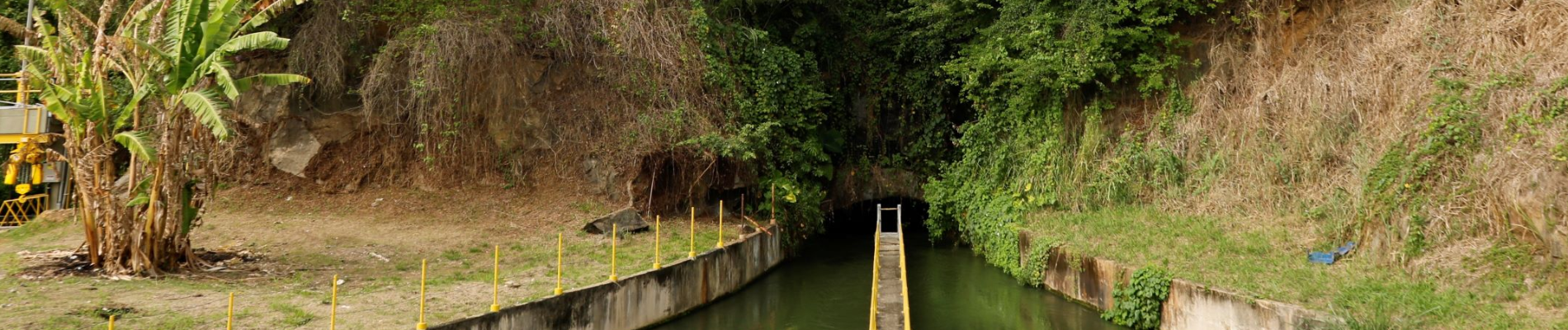 Dia Aberto da Noite Europeia dos Investigadores