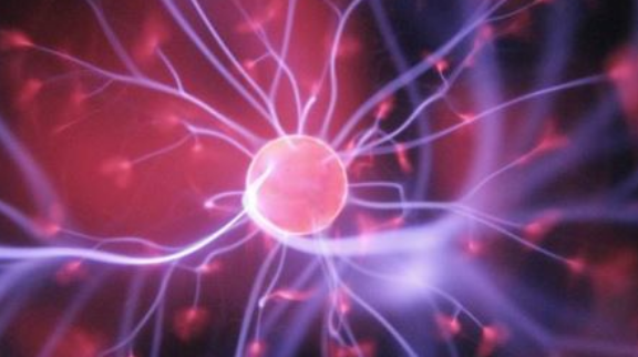 Ciclo de Conferências Doutorais do Departamento de Ciência Política e Políticas Públicas