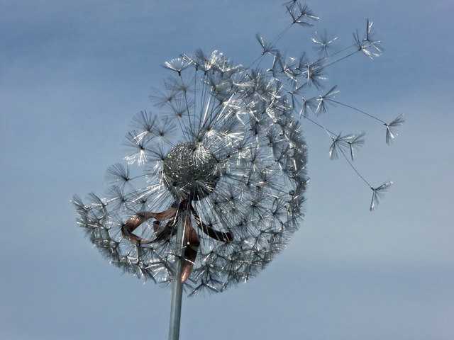 MISTRAL is recruiting Early Stage Researchers