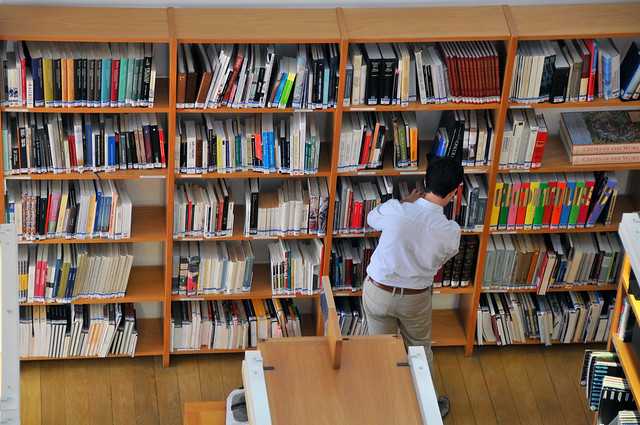 Ciência-IUL, a excelência da investigação e ciência no ISCTE