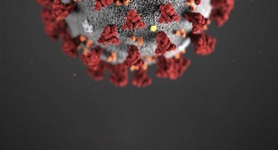 Plano de Contingência Covid 19 - ATUALIZAÇÃO PERMANENTE