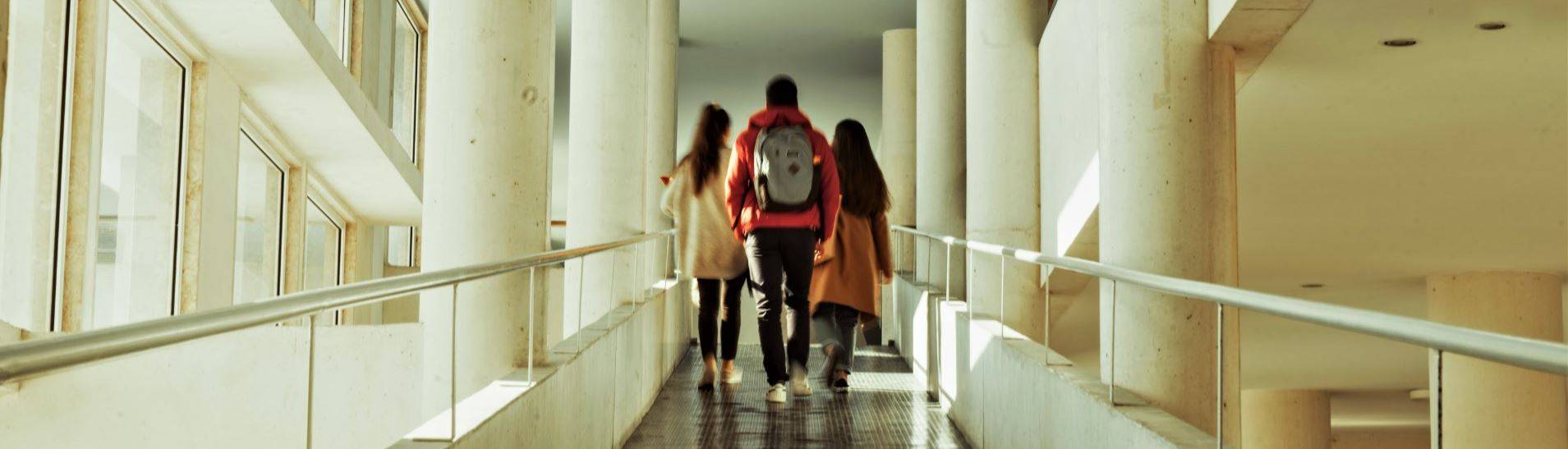 17 licenciaturas, um espaço para crescer