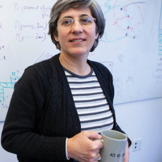 Clara Carvalho eleita presidente do AEGIS (African Studies in Europe)