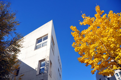 IgniteCampus@ISCTE-IUL: 5 minutos para defender uma ideia