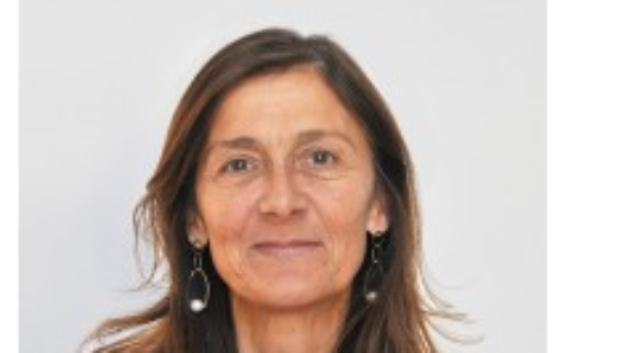 Projetos do ISCTE-IUL vencedores em concurso da Fundação Calouste Gulbenkian